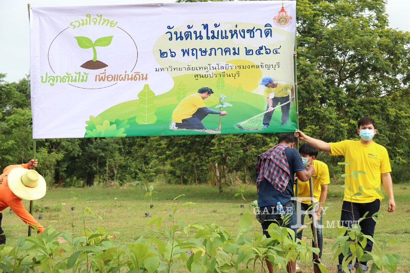 20210526-Tree planting dayt-006.jpg